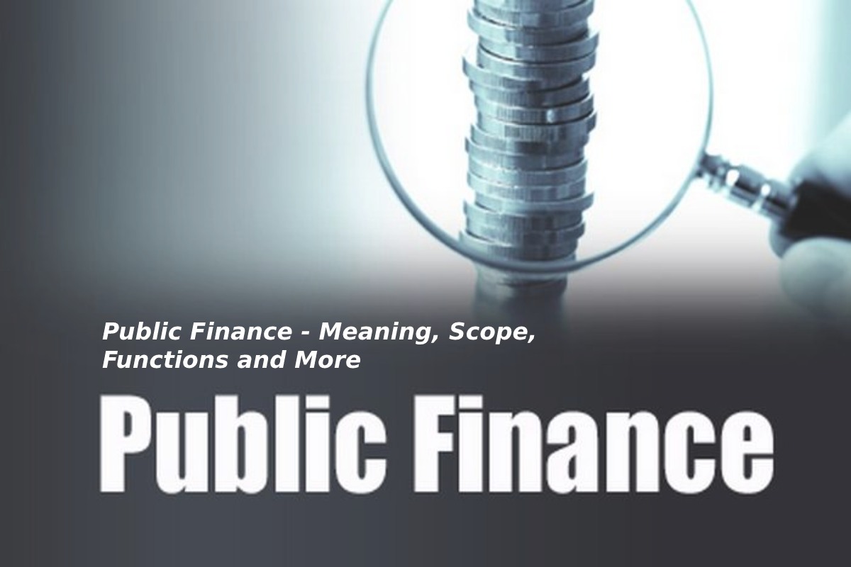 Public Finance Meaning Scope Functions And More 2021