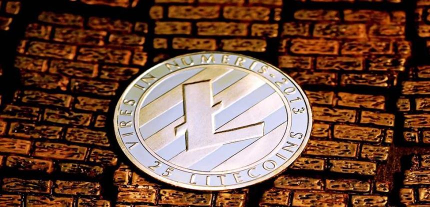 5 Best Litecoin Casinos Software Providers